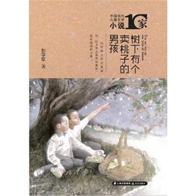 正版书籍 中国当代儿童文学小说十家 树下有个卖桃子的男孩 9787541492662