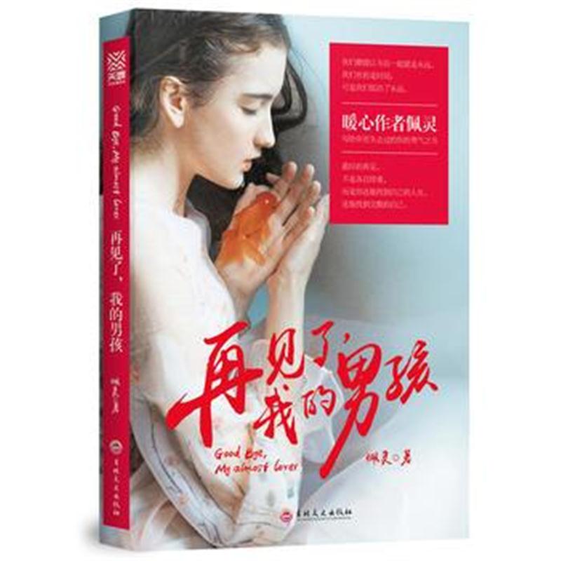 正版书籍 再见了，我的男孩 9787547251140 吉林文史出版社