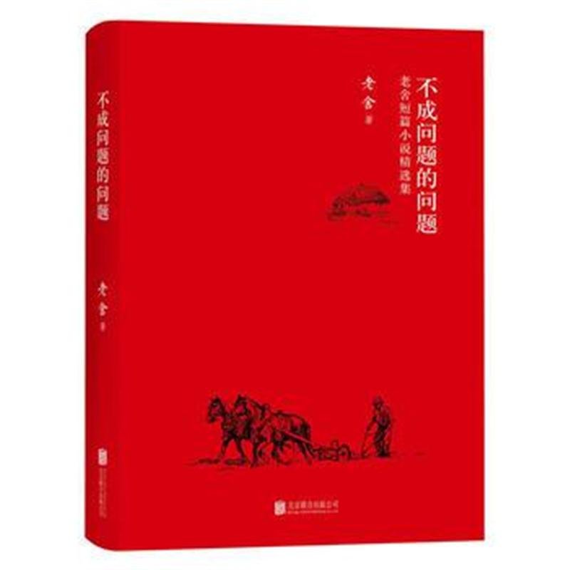 正版书籍 不成问题的问题 9787201115177 天津人民出版社