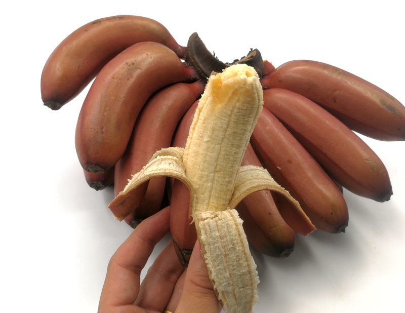 红皮香蕉 5斤 美人蕉 新鲜水果 福建土楼特产 非芭蕉小米蕉banana 土楼