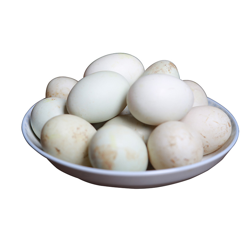 生海鸭蛋 20枚 新鲜农家放养红心 麻鸭土鸭蛋 生鲜