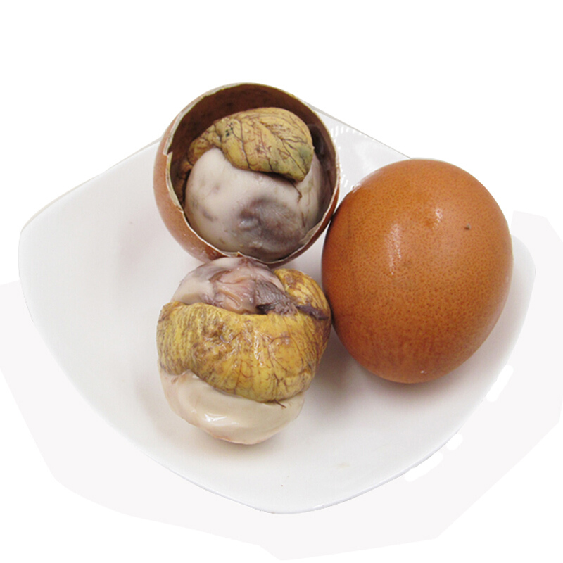 博多客 活珠子 鸡蛋胚鸡宝 13天 新鲜旺鸡蛋喜蛋 20枚 非毛鸡蛋生鲜新鲜