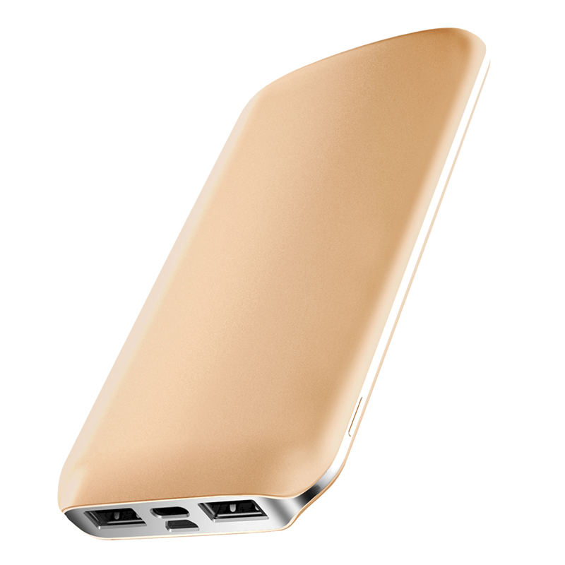 D-M166 苹果安卓2A快充双输入充电宝 双USB输出 高品质电路保护心芯(10000毫安)金色