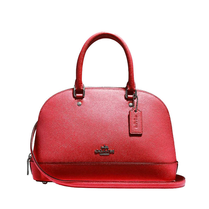 蔻驰COACH女包贝壳包小号新款珠光斜挎手提包57555