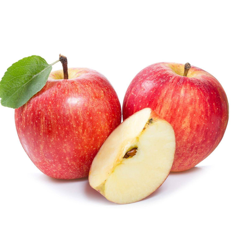 【羽果苹果手机配件型号参数规格】_羽果苹果手机配件详细参数配置-苏