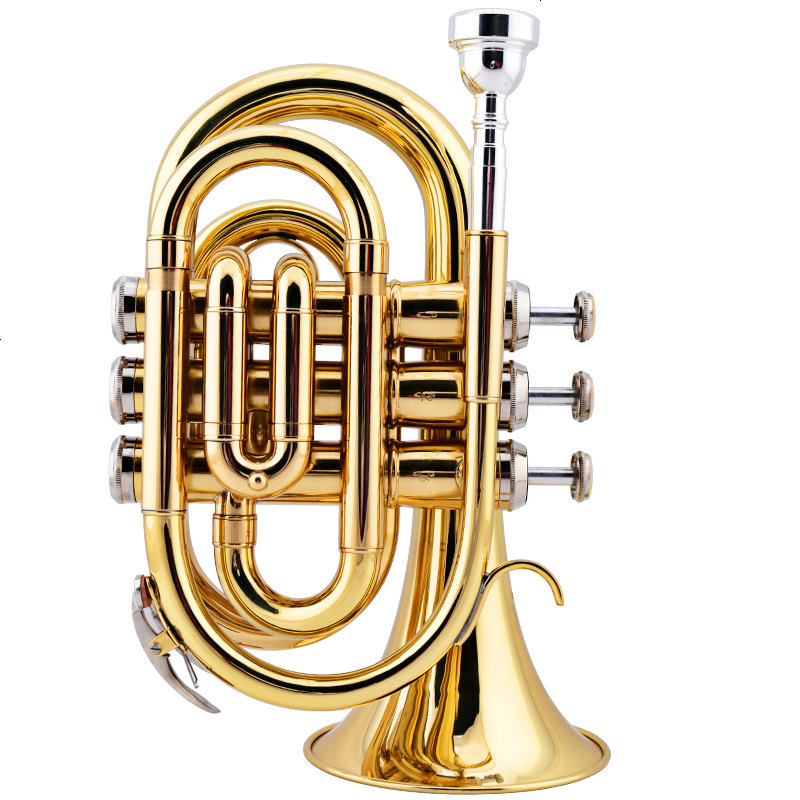 美国JAZZOR 爵士朗 手掌号便携式小号降B调袖珍短号铜管乐器新品