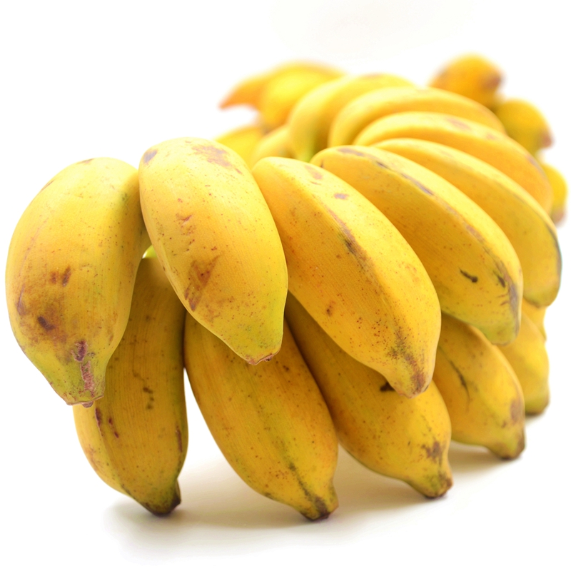 博多客 小米蕉 新鲜香蕉 小米香蕉 4KG小香蕉小鸡蕉青香蕉 坏果包赔
