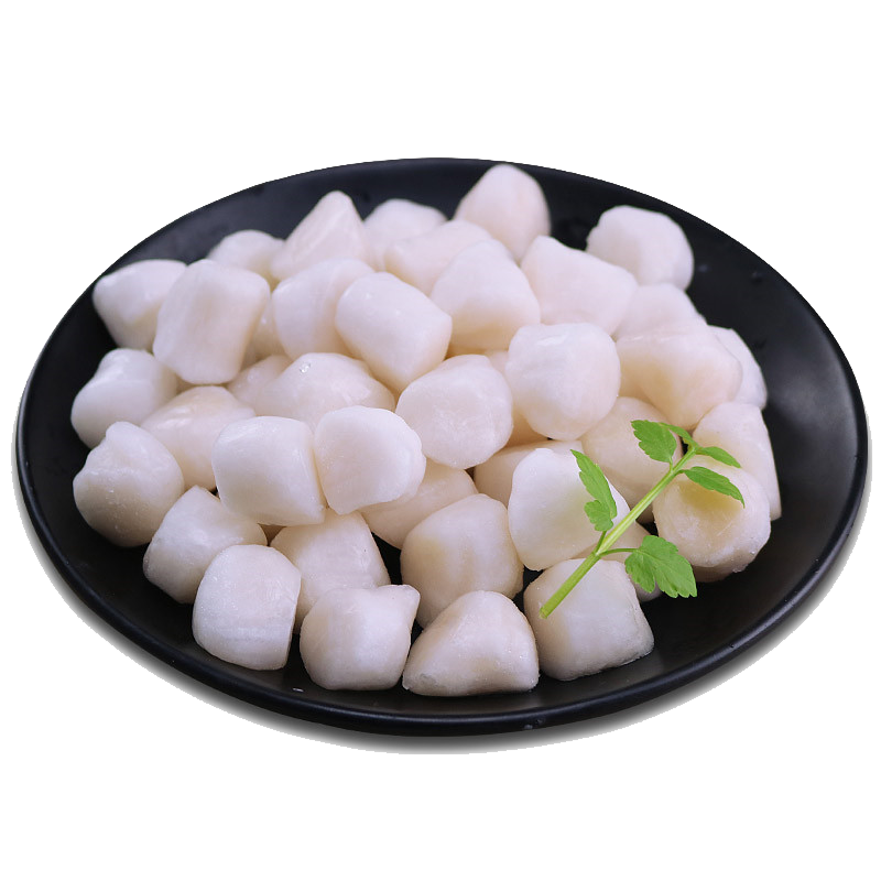 鲜扇贝丁型号参数规格