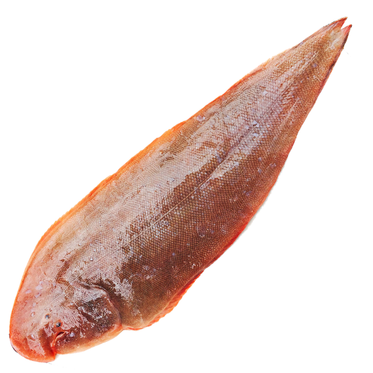 新鲜舌头鱼 踏板鱼 牛舌鱼 龙利鱼 鱼柳 深海鱼新鲜海鲜水产 1KG(2斤)