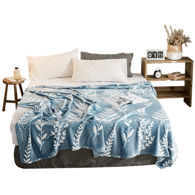 寝色 法兰绒毛毯加厚保暖珊瑚绒毯空调毯午睡盖毯宿舍单双人床单冬季