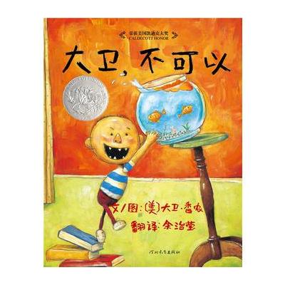 大卫，不可以