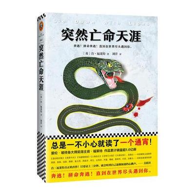 J 突然亡命天涯 (肯福莱特经典悬疑)