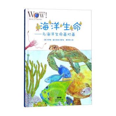 奇妙世界 海洋生命：与海洋生命面对面