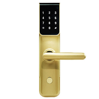 西勒奇（SCHLAGE） SC201智能锁 指纹锁 密码锁 防盗门锁 指纹密码锁 电子锁 金色