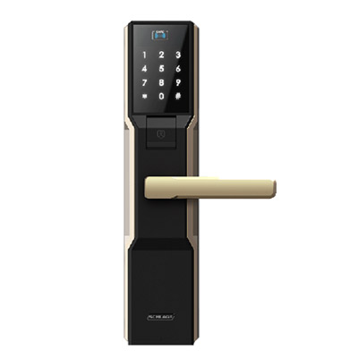 西勒奇(SCHLAGE) SD301 智能锁 指纹锁 电子锁 密码锁 防盗门锁 金色