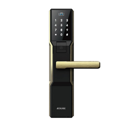 西勒奇(SCHLAGE) SD301 智能锁 指纹锁 电子锁 密码锁 防盗门锁 青古铜