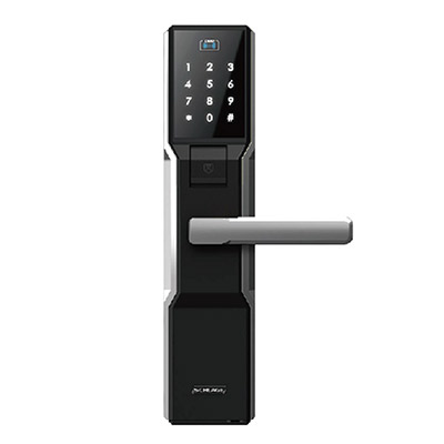 西勒奇(SCHLAGE) SD201 智能锁 指纹锁 电子锁 密码锁 防盗门锁 银色