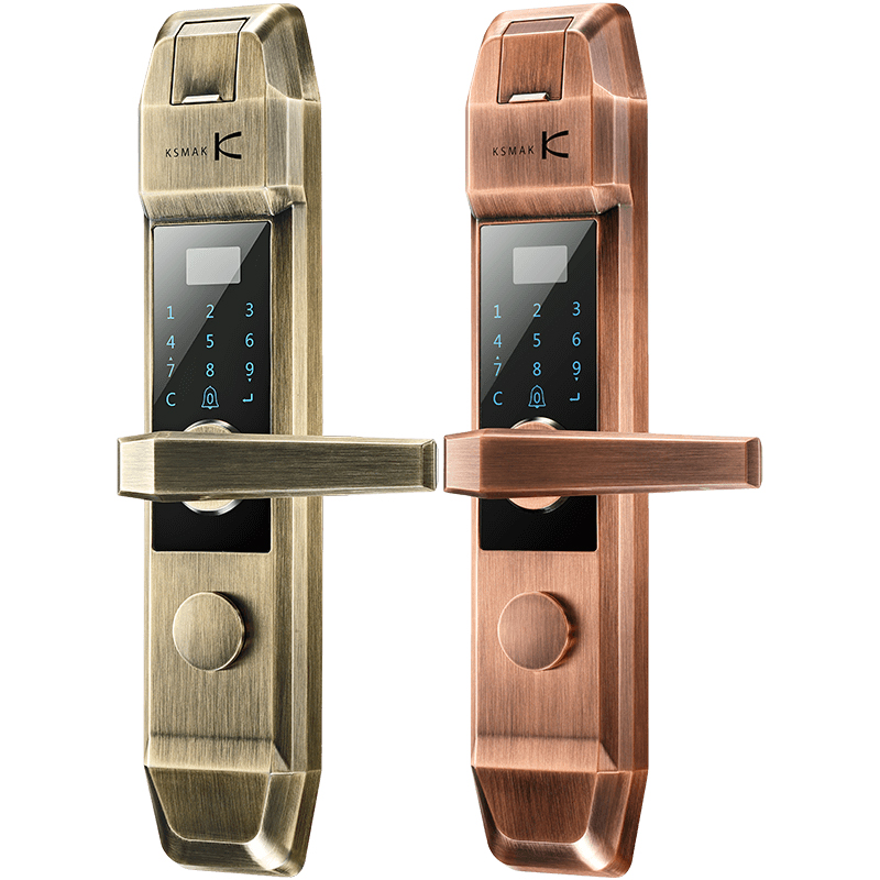 金指码指纹锁家用防盗门手机控制电子智能锁密码磁卡锁智能锁D5