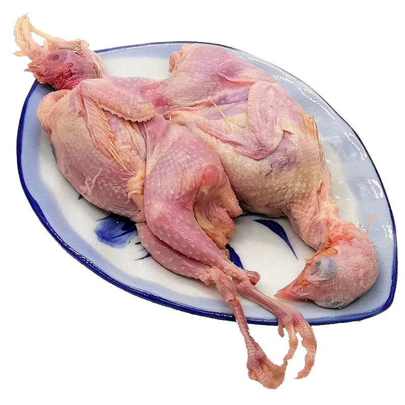 博多客 鹌鹑肉 农家白条 新鲜 活鹌鹑肉