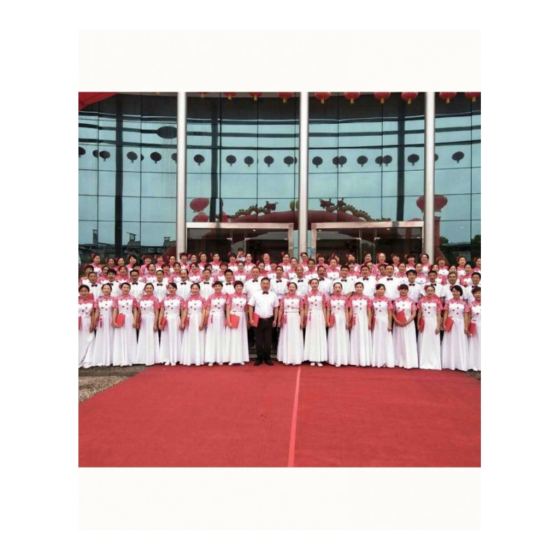 中国风大合唱团演出服装女长裙中老年古筝表演礼服高中学生