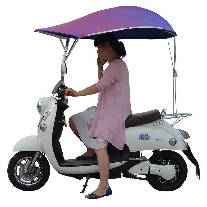 电瓶车雨棚新款电动摩托车遮阳伞加厚加固踏板车雨伞罩冬季