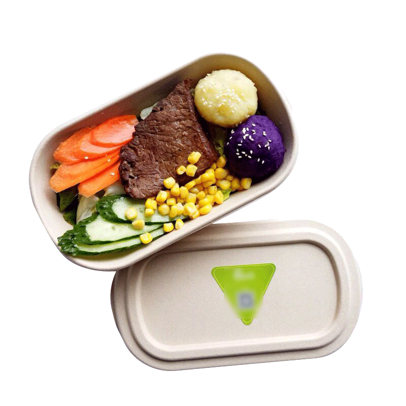 一次性餐盒沙拉盒子饭盒寿司外卖打包盒水果快餐盒通用简约家居器皿饭盒便当盒商用
