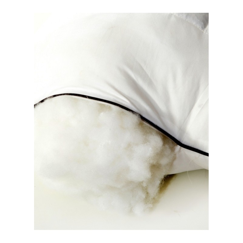 加高加厚单人枕头护颈枕磁疗保健枕芯荞麦两用保健枕