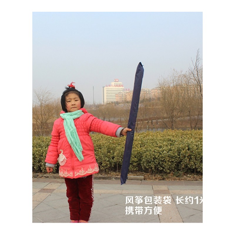 潍坊儿童风筝 卡通瓢虫风筝 微风易飞好飞带线送备用杆 保飞