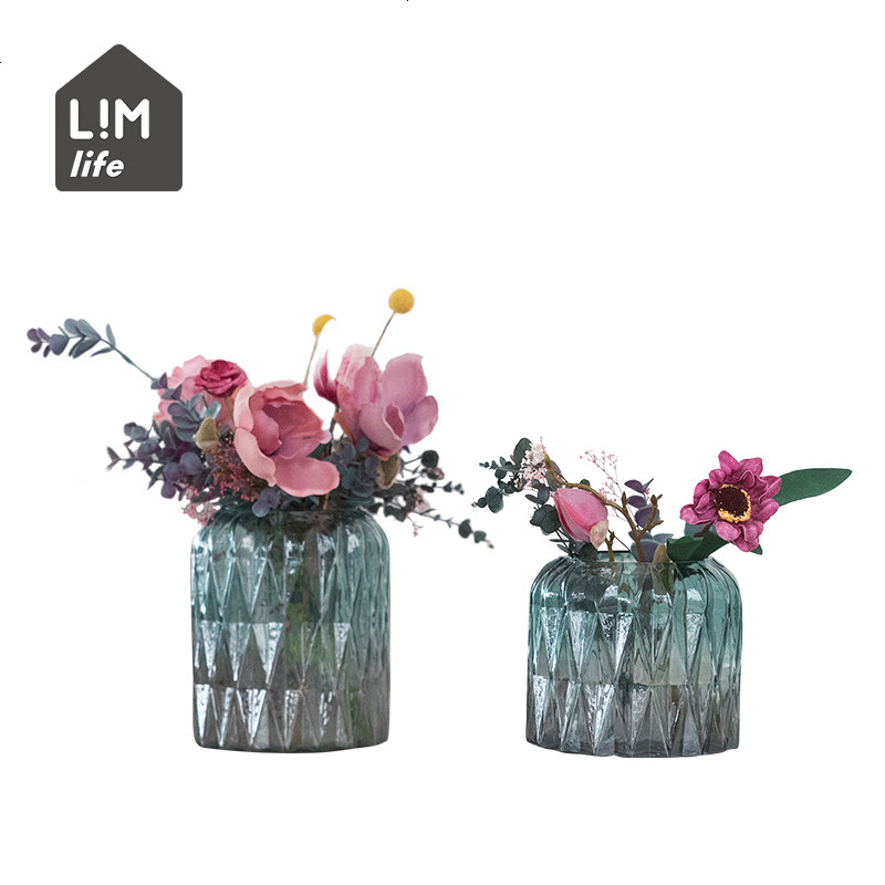 LIMlife 创意玻璃花瓶客厅插花花器简约渐变水培器皿桌面装饰摆件