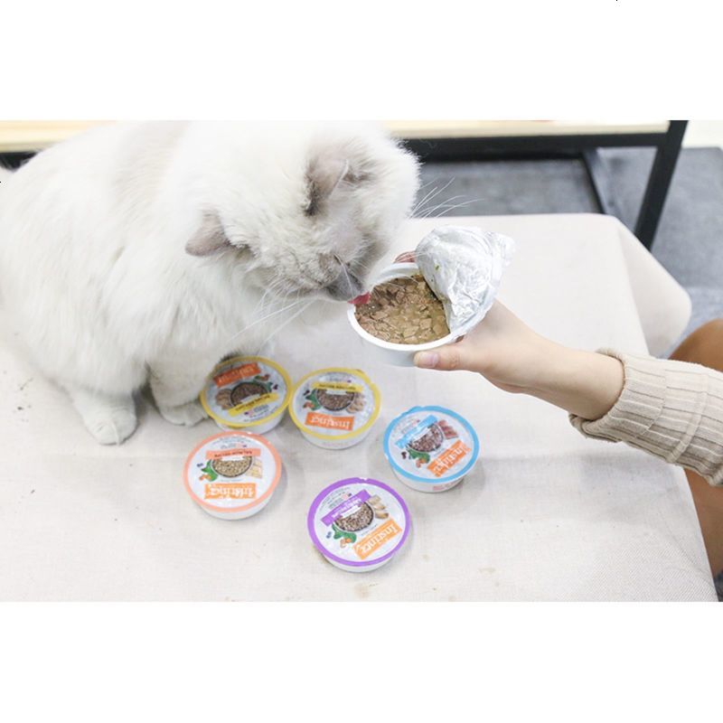 原装进口 Instinct 肉酱系列猫咪主食罐头布丁杯100g 6罐