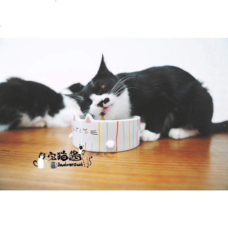 宅猫酱 瓷婉婉 田田猫 带可爱小尾巴的 彩条小瓷碗 猫咪食盆 宠物