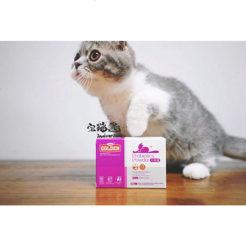 宅猫酱 猫用 六种菌宠物益生菌口臭  8袋/盒