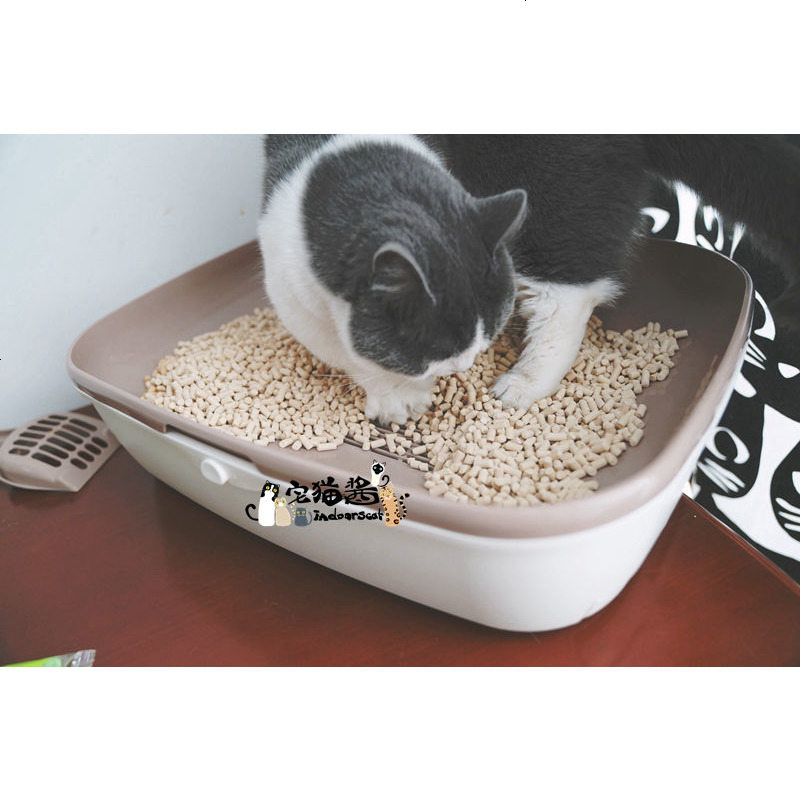 宅猫酱 沸石猫砂双层猫砂盆专用品 进口厕所猫沙无尘除臭4L