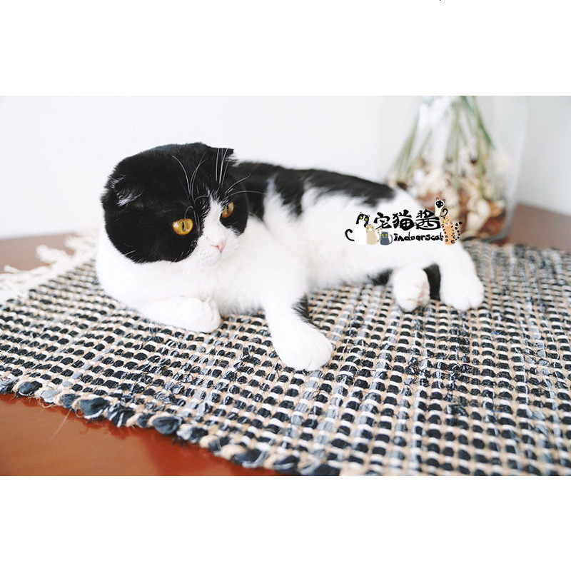 宅猫酱 cattyman 爱猫手工磨爪地垫 棉布牛仔布猫毯 两种可选哦~