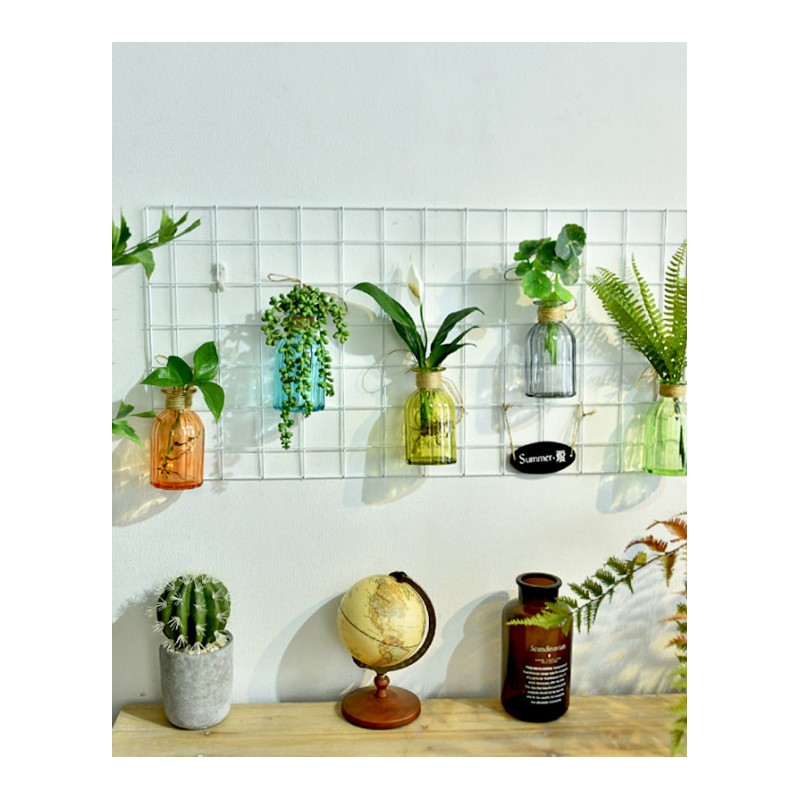北欧简约创意铁艺网格水培植物挂饰客厅阳台绿植墙面装饰品壁饰