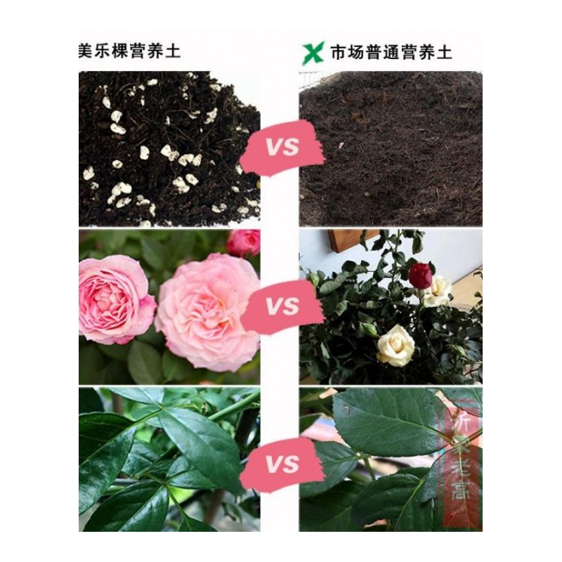 家庭园艺营养土 玫瑰型6L 月季花土玫瑰花种植用营养土