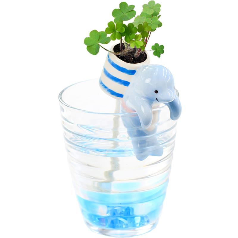 吸水可爱创意迷你水培植物办公室桌面小盆栽摆件儿童DIY种植礼品