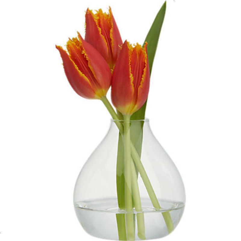 欧式简约玻璃花瓶 透明水培花器 桌面装饰装饰工艺品
