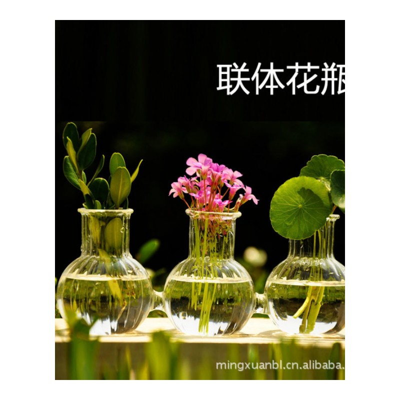 茗轩创意连体玻璃花瓶 条纹水培花器家居摆件 新奇特工艺品HP49