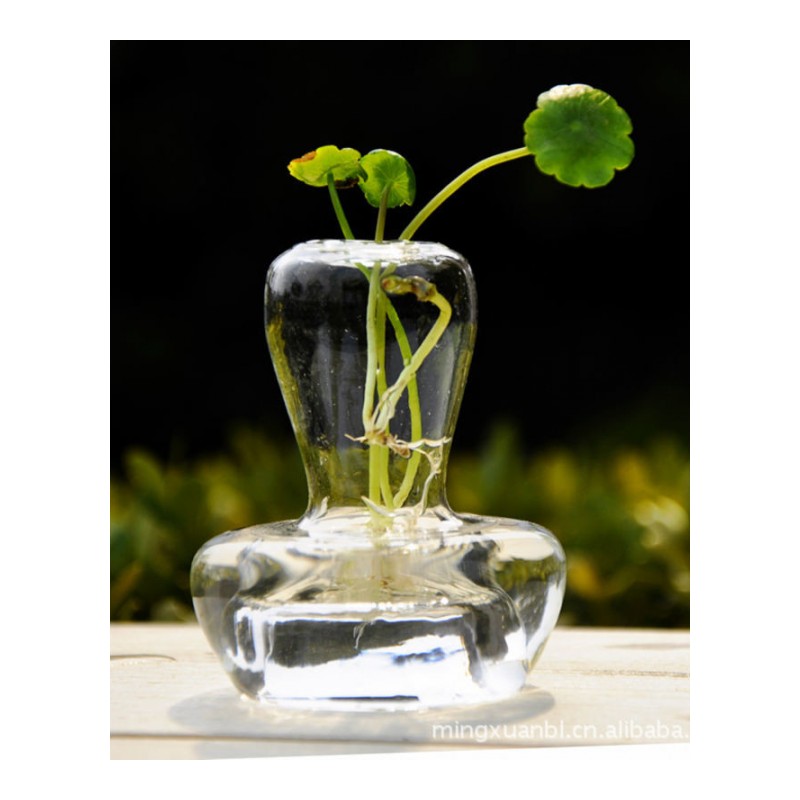 茗轩欧式玻璃花瓶 蘑菇花器 水培工艺 窗台装饰HP15