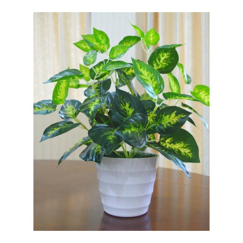 仿真植物 假植物 塑料小盆栽绿植绿萝 仿真花植物 室内外装饰品摆件-中盆绿萝叶套装