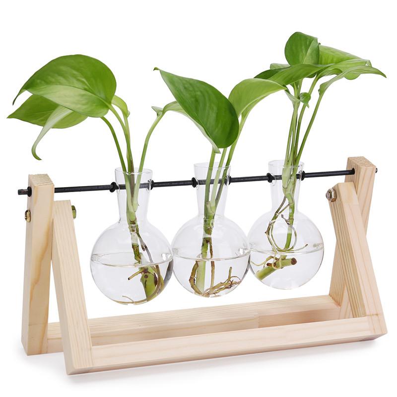绿萝水培创意木架植物盆栽室内绿植办公室桌面摆件绿色植物小盆栽