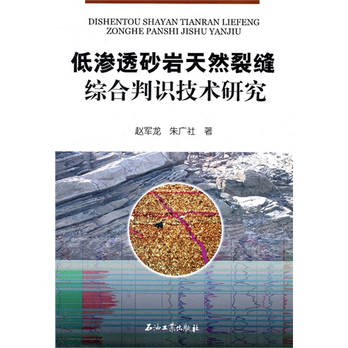 [正版二手]低渗透砂岩天然裂缝综合判识技术研究