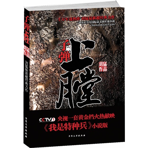 [正版二手]子弹上膛