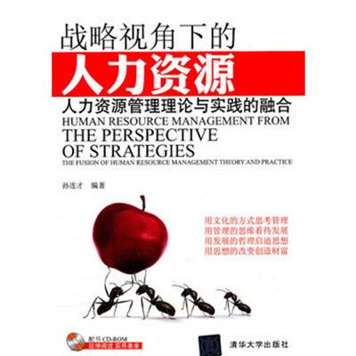 [正版二手]战略视角下的人力资源