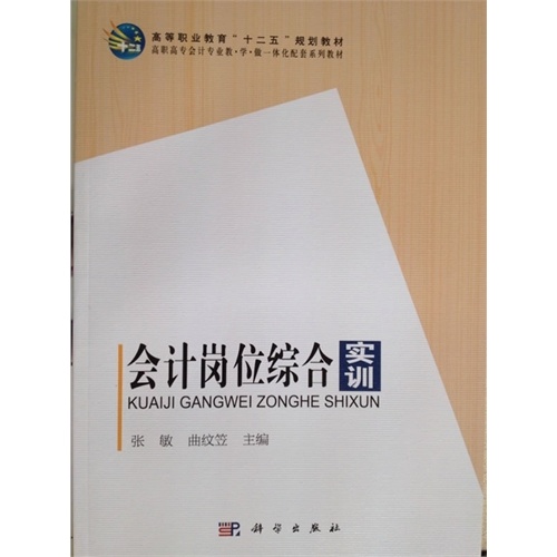 [正版二手]会计岗位综合实训