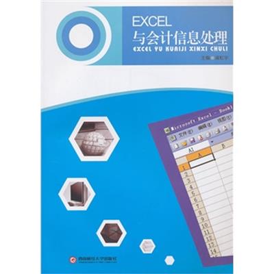 [正版二手]EXCEL与会计信息处理