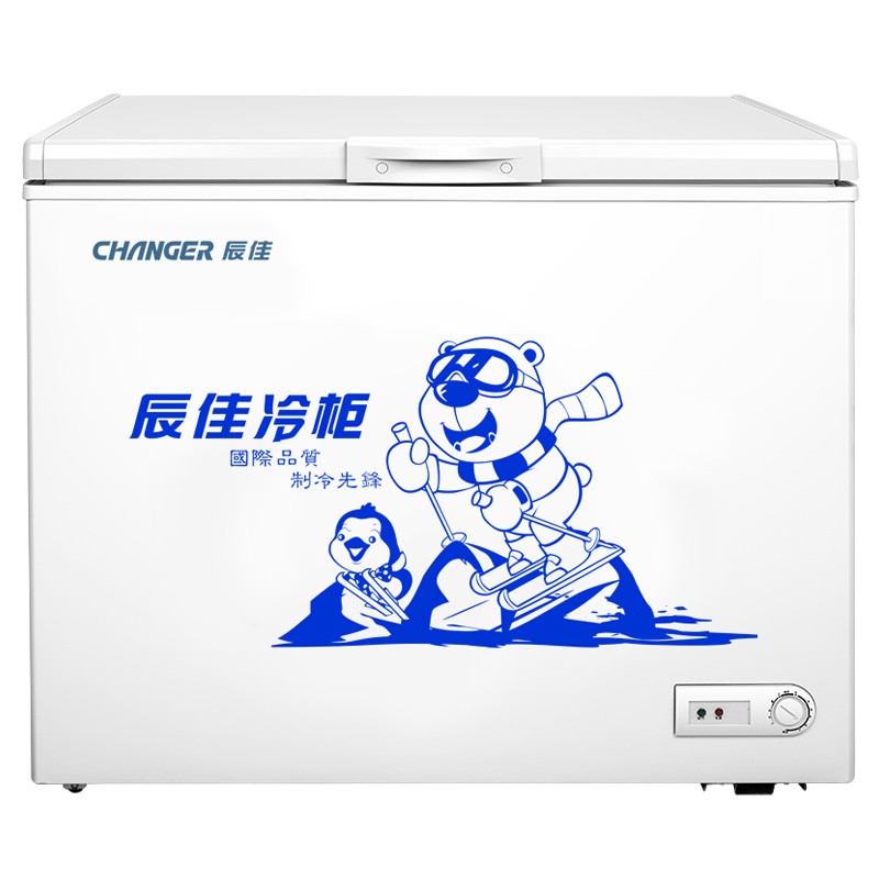 辰佳 (Changer) BC/BD(W)-271 271升冷柜冷藏冷冻转换家用商用大冰柜 白色
