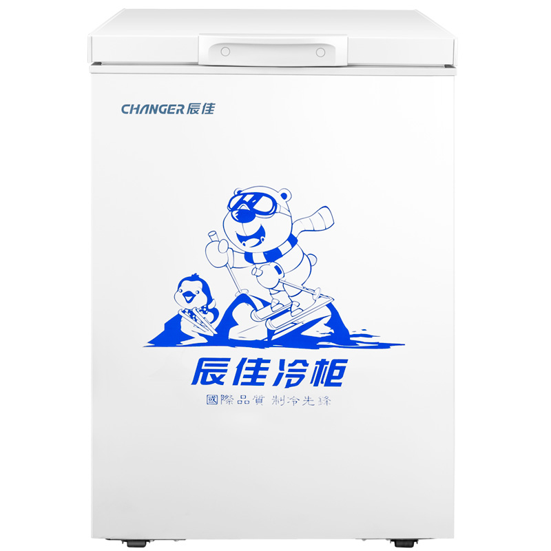 辰佳 (Changer)BC/BD(W)-100 100升家用小型冰柜冷藏冷冻转换冷柜 白色