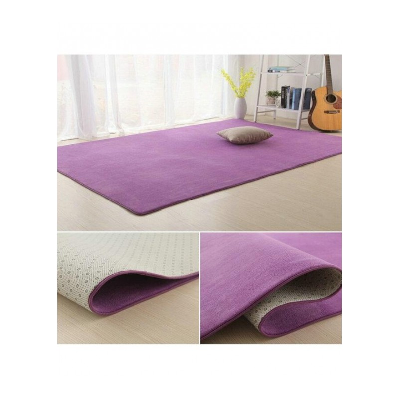 珊瑚绒加厚地毯客厅茶几地毯卧室满铺地毯床边毯榻榻米地垫可定制